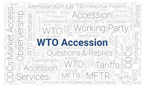 Preparations for the next meeting of the Working Party on Azerbaijan's membership to the WTO